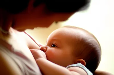 Illustration suckling - Image 1