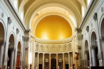 Illustration concha - Image 1