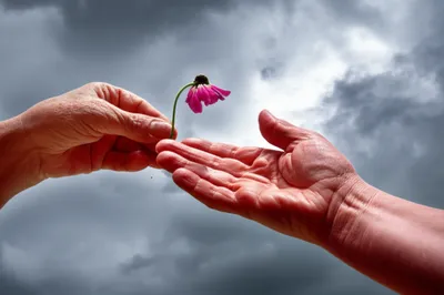 Hình ảnh minh họa devolving - Ảnh 1