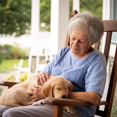 Illustration lapped - Image 1