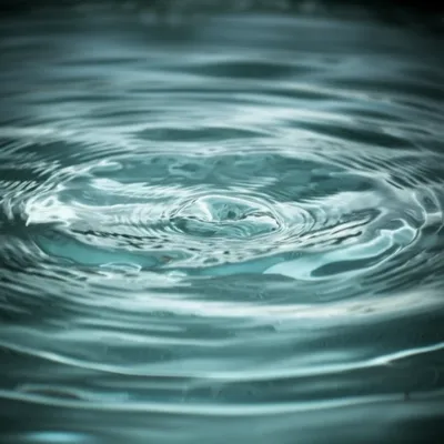 Illustration ruffled - Image 1