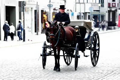 Illustration hackney - Image 1