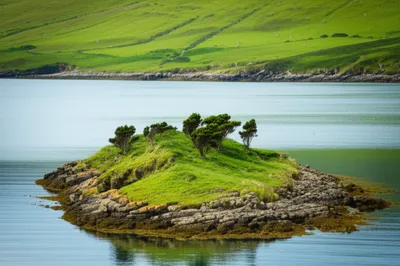 Illustration holm - Image 1