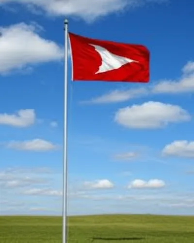 Illustration pavilion - Image 1