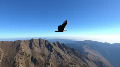 Illustration gliding - Image 1