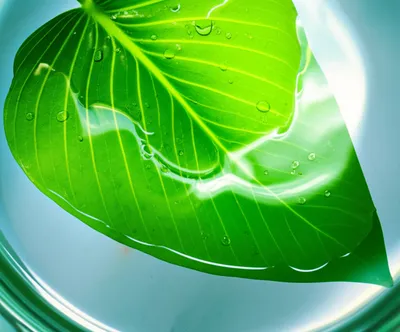 Illustration washed - Image 1