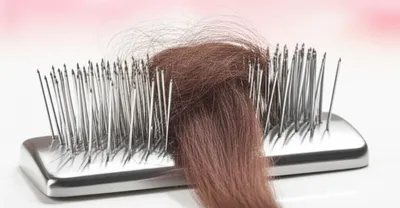 Illustration heckle - Image 1