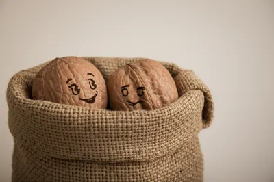 Illustration knackers - Image 1