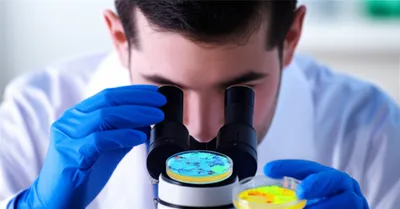 Illustration seen - Image 1