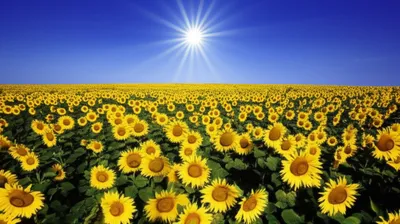 Illustration unfailing