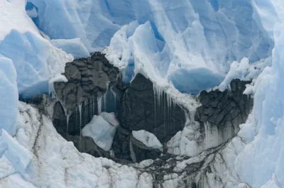 Illustration plucks - Image 1