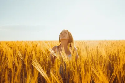 Illustration dominations - Image 1