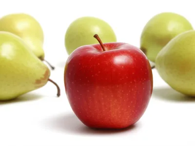 Illustration salient - Image 1