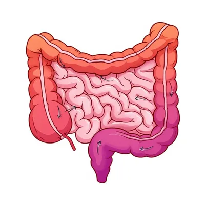 Illustration cola - Image 1