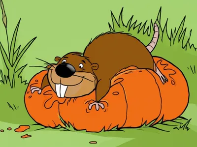 Illustration squash - Image 1