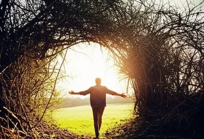 Illustration clearing - Image 1