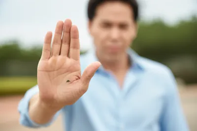 Illustration whatever - Image 1