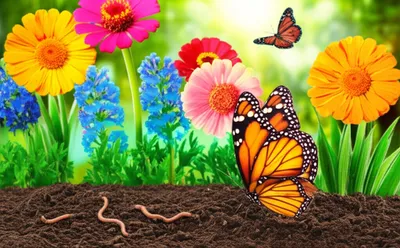 Illustration woke - Image 1