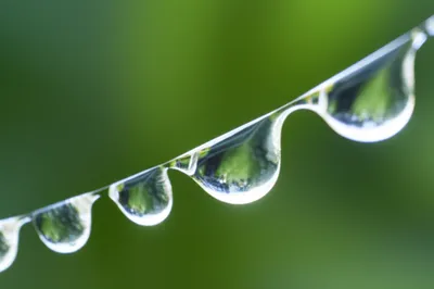 Illustration crystalline - Image 1