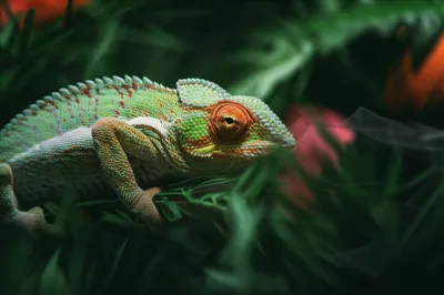 Illustration masks - Image 1