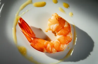 Illustration prawn - Image 1