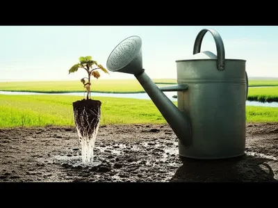 Illustration dependency