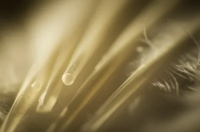 Illustration barrels - Image 1