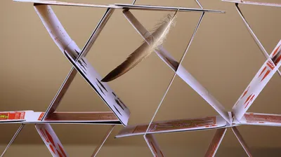 Illustration tickle - Image 1