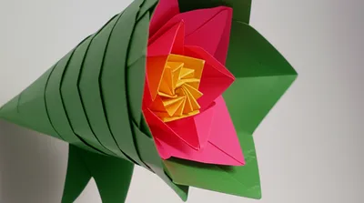 Illustration explains - Image 1