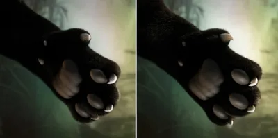 Illustration sheathe - Image 1