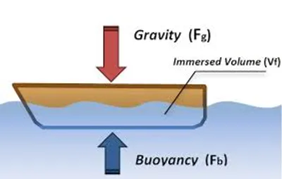 Illustration buoyant - Image 2