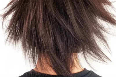 Illustration uncombed - Image 1