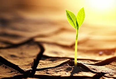 Illustration acted - Image 2