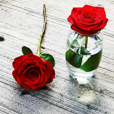 Illustration undervalue