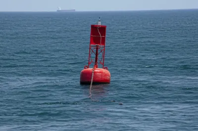 Illustration watching - Image 1