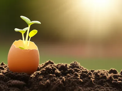 Illustration learned - Image 1