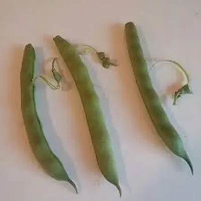 Hình ảnh minh họa string - Ảnh 5