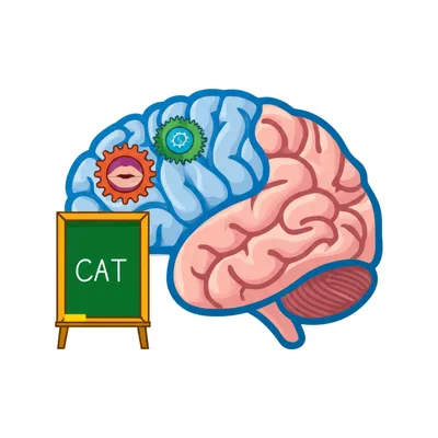 Illustration phonics - Image 1