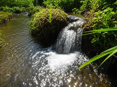 Illustration liquidate - Image 1