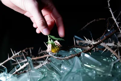 Illustration compromises - Image 1