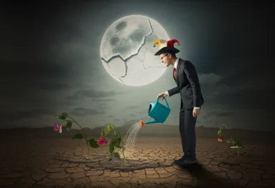 Illustration lunacy - Image 1