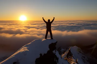 Illustration triumphed - Image 1