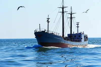 Illustration seaworthy