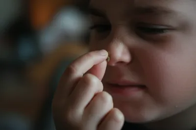 Hình ảnh minh họa bogie - Ảnh 1