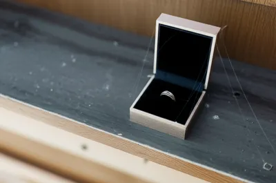 Illustration celibate - Image 1