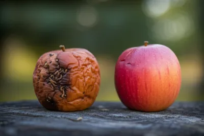 Illustration running - Image 1