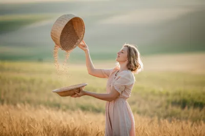 Illustration winnowed - Image 1