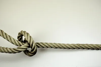 Illustration straightened