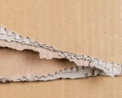 Illustration ragged - Image 3