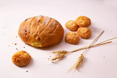 Illustration yeasts - Image 2